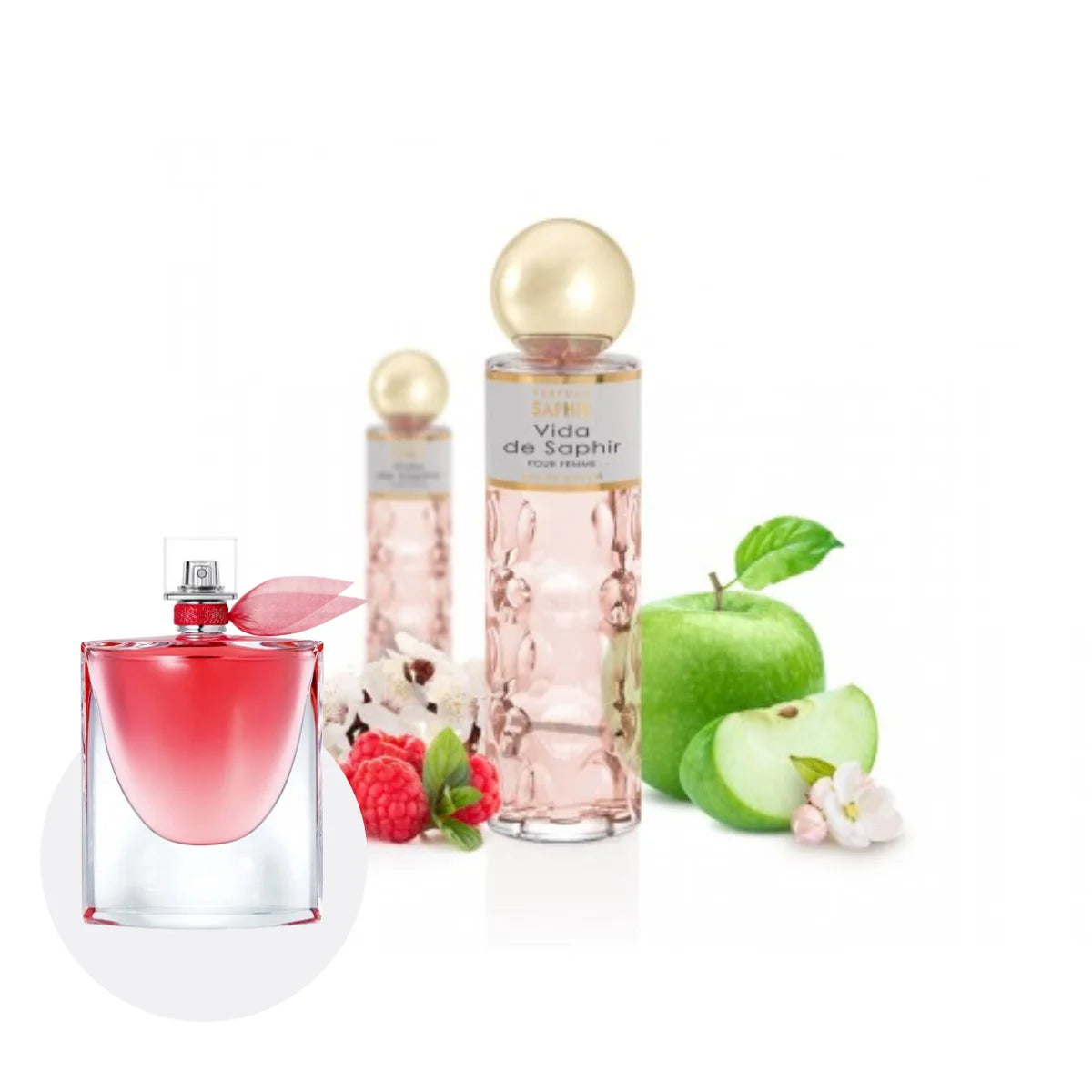 Parfums Saphir Vida - Eau de parfum vaporisateur pour femme - 100 ml